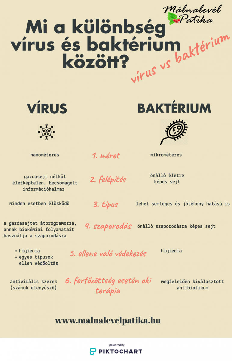 vírusok vs baktériumok